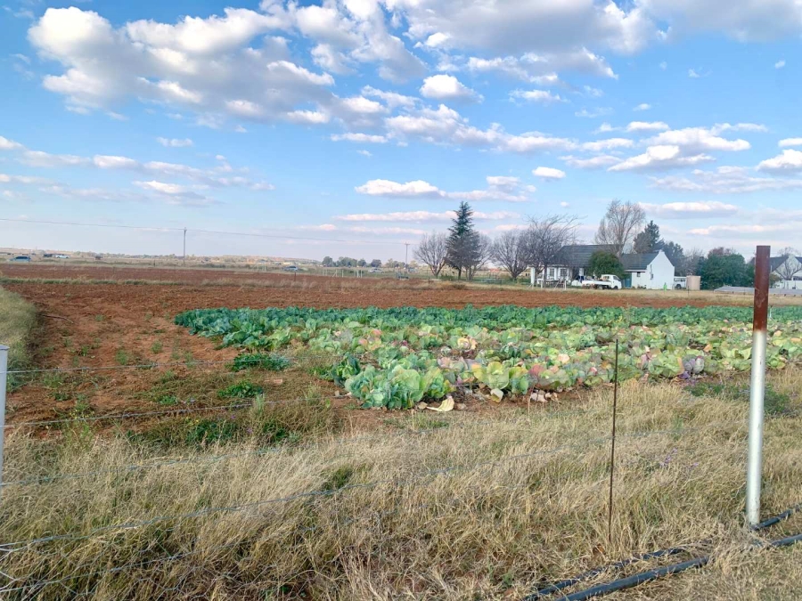 3 Bedroom Property for Sale in Bloemdal Free State